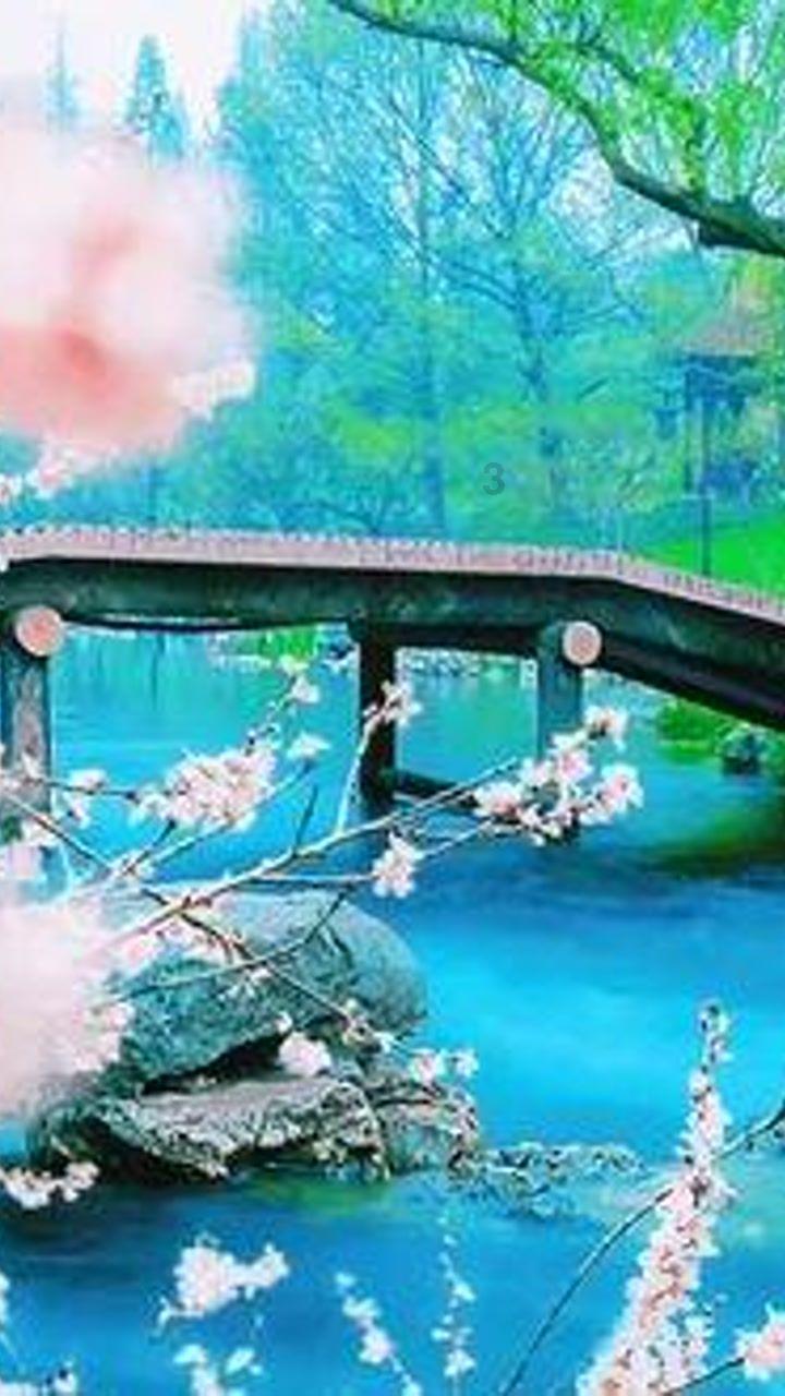 求生指南：第三人称